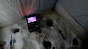 Зимняя рыбалка 2024. Мартовский  карась, на Салтаиме.