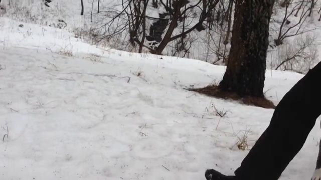 28.02.15. Провожаем зиму! смотреть онлайн