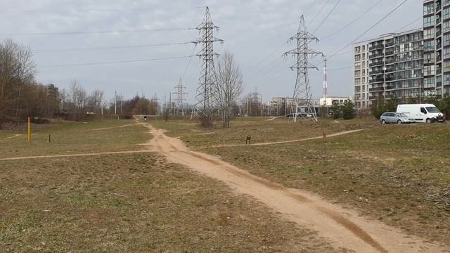 ebike mid-drive QS205 смотреть онлайн