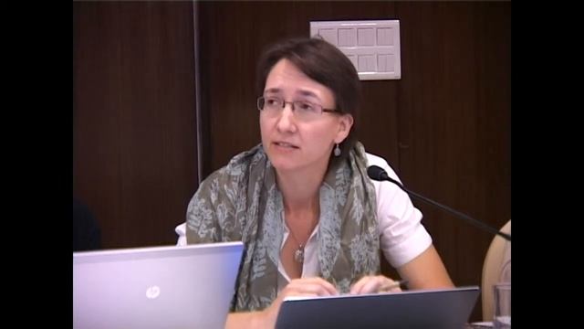 Dorothea Kleine at Round Table on Inclusion in the Network Society, Bengaluru, India, 2014 смотреть онлайн