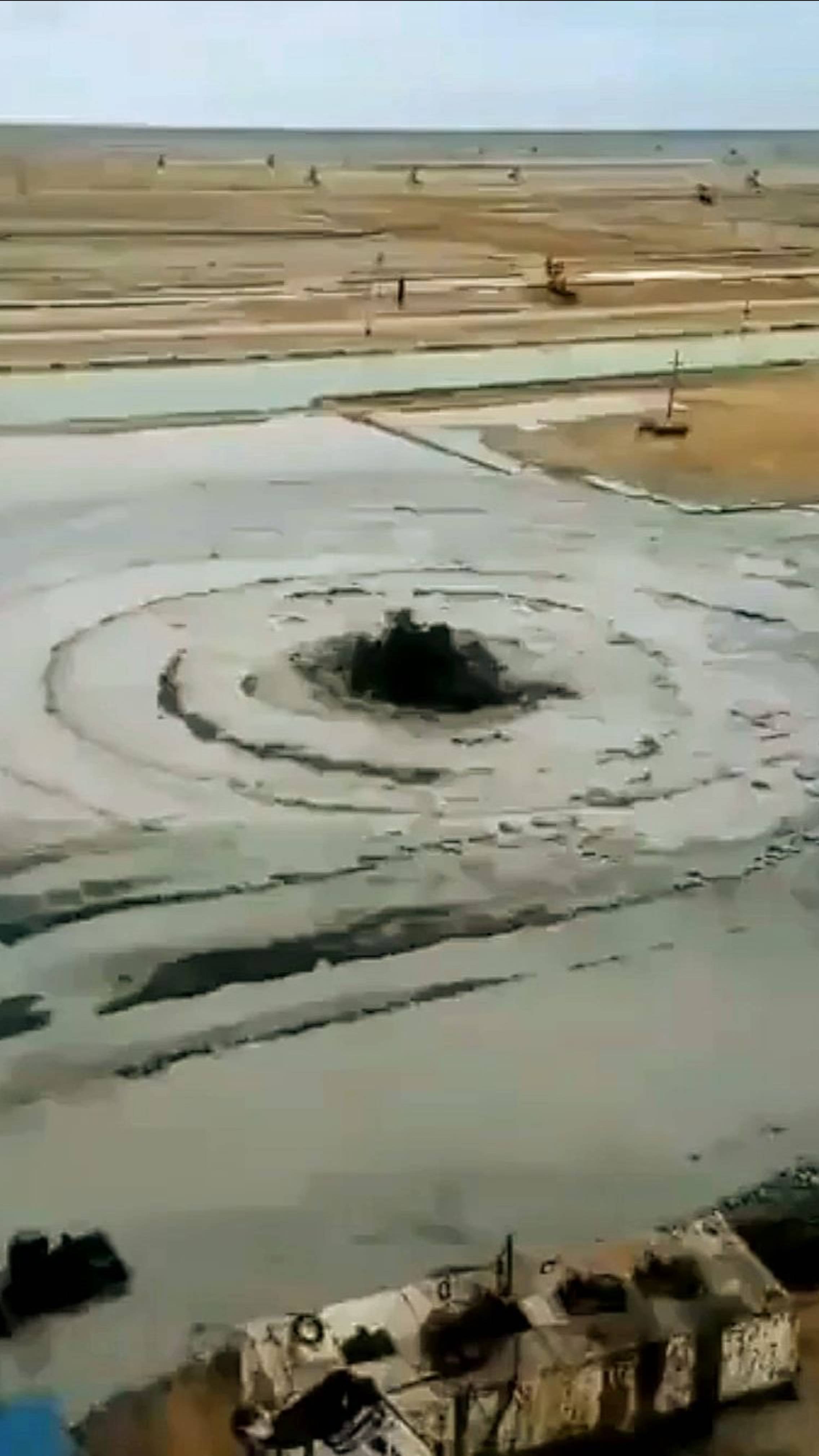 Это какой-то АД на земле. Грифоны по всюду🔥 смотреть онлайн