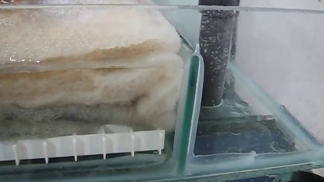 TOP BIOLOGICAL FILTER - OPERATING PRINCIPLE - 2.10.14 смотреть онлайн