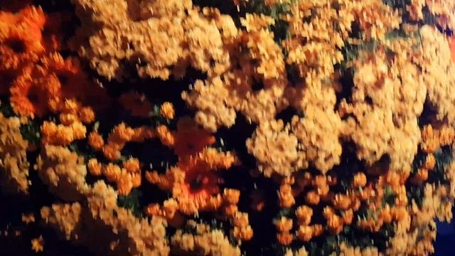 Галактика и планеты из цветов и зелени смотреть онлайн