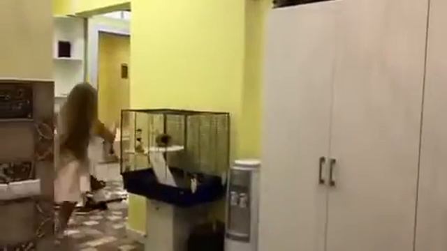 А ваши друзья как вас поддерживают? смотреть онлайн
