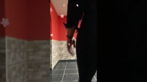 SEXY CROSSDRESSER MARYURI IN PANTYHOSE AND MINISKIRT 😍