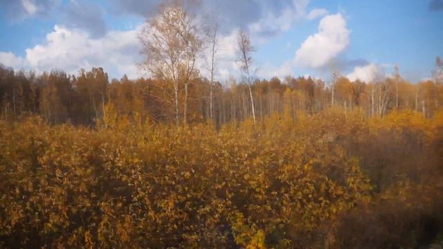 Amazing Trans-Siberia Train Across Russia 🇷🇺 смотреть онлайн