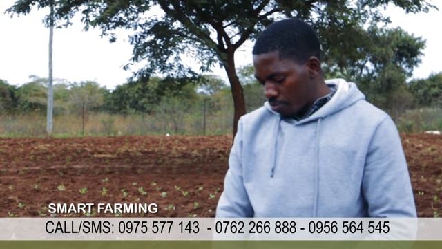 Smart Farming Makeni EP 2 смотреть онлайн