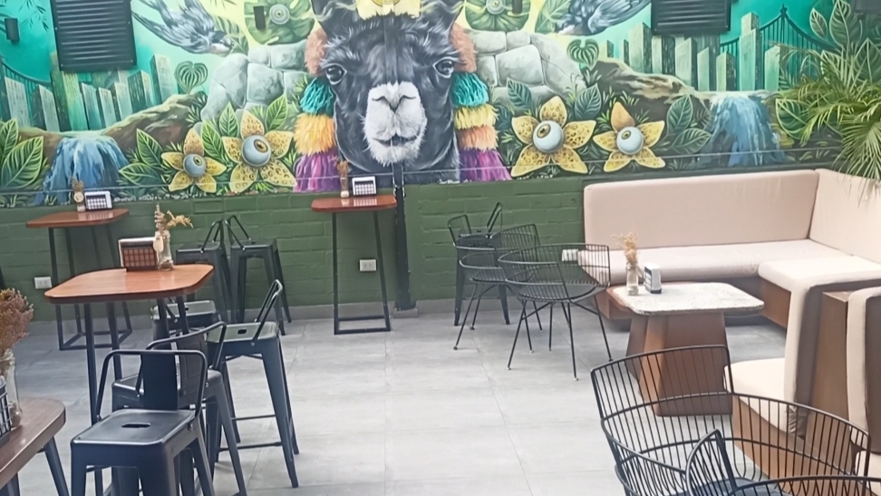 Black Llama Hostel Miraflores Lima Peru