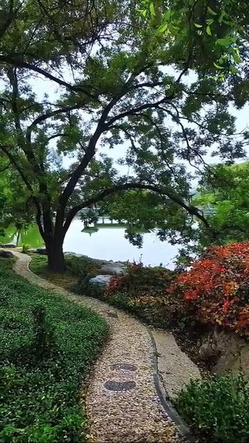 Beautiful scenery relaxation | aesthetic scenery |#aesthetic #scenery #shorts смотреть онлайн
