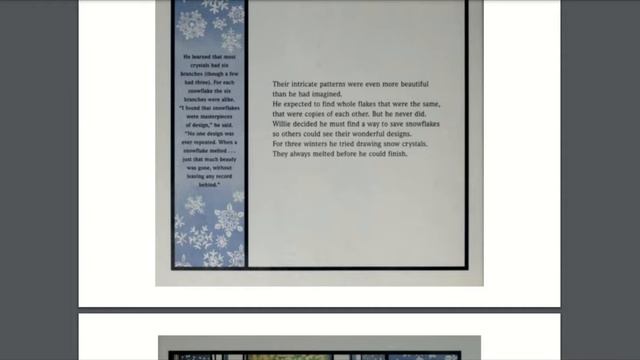 Snowflake Bentley Day 1 (1).pdf смотреть онлайн