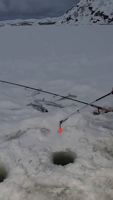 Неожиданный зимний морской дуплет смотреть онлайн