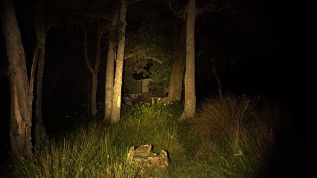 BLF A6, Cree XPL HD, 1400 Lumens (Demo) смотреть онлайн