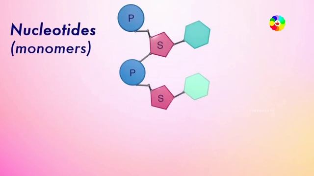 DNA कैसे काम करता हैं - how DNA works ? смотреть онлайн