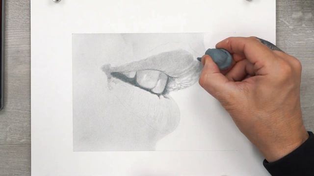 CRETACOLOR | CLEOS | Fine Art Graphite Pencils | Speed Drawing смотреть онлайн