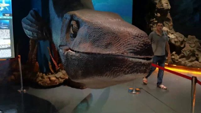 Приморский Океанариум 2023 (Динозавр😂) смотреть онлайн