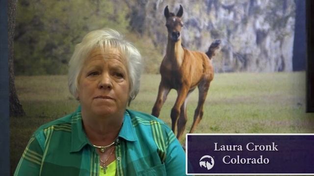 Arabian Horse Industry Breeder Interview - Laura Cronk смотреть онлайн