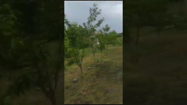 29 февраля 2024 г. (4) смотреть онлайн