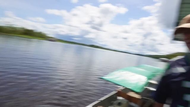 NADAMOS CON DELFINES EN EL AMAZONAS, vuelta a Colombia capítulo 34 смотреть онлайн
