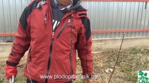 Посадка плодовых растений для начинающих. 100% приживаемость при качественном посадочном материале.