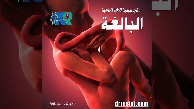 تطوير الخلايا الجذعية البالغة смотреть онлайн