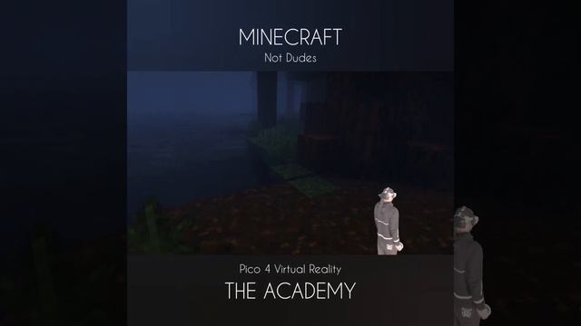 The Academy - Pico 4 - MINECRAFT - (VR) - Not Dudes смотреть онлайн