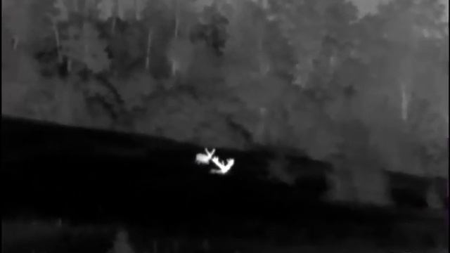 Testing Pulsar Axion XQ38 thermal imaging monocular #nature #pulsar-thermal #hunting #redstag смотреть онлайн