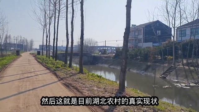 农村攀比有多严重？湖北村里年轻人全部抽1916，家家买车负债累累 смотреть онлайн