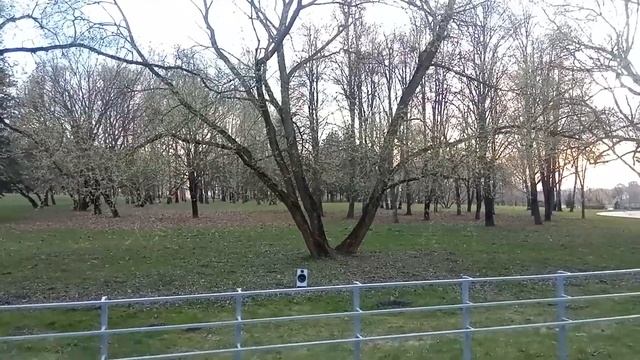 Тест звука. DIY bluetooth speaker смотреть онлайн