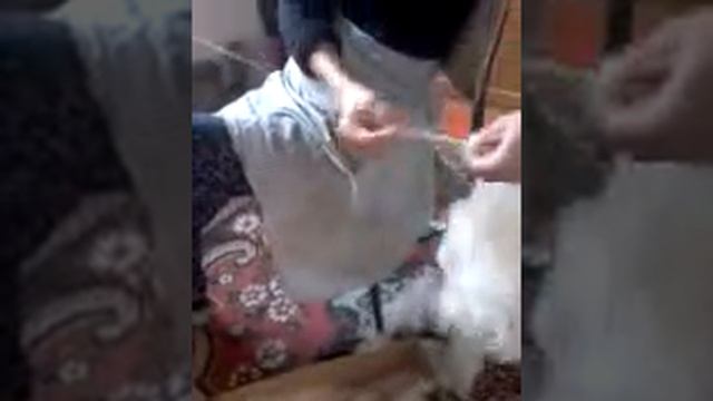 Салт дәстүрдің бірі жүн иіру смотреть онлайн