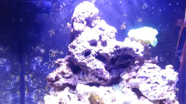 Sera 130 смотреть онлайн