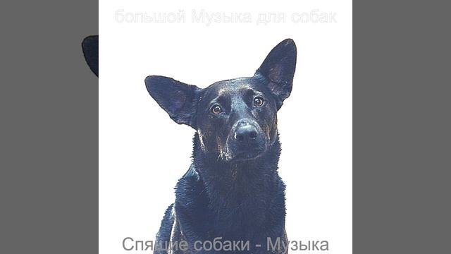 Атмосфера (Спящие собаки) смотреть онлайн