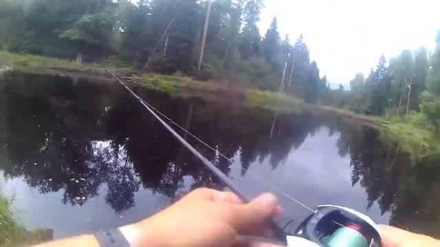 25 08 17 клевое место. ловля в секретном месте. смотреть онлайн