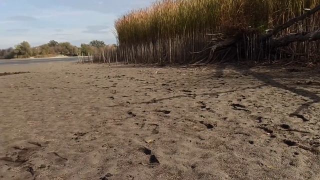 Коп на ставку! Знахідки Київська Русь... смотреть онлайн