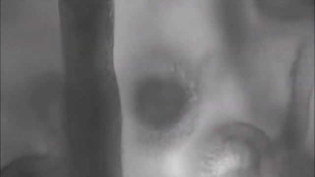 Boy Meets Girl смотреть онлайн