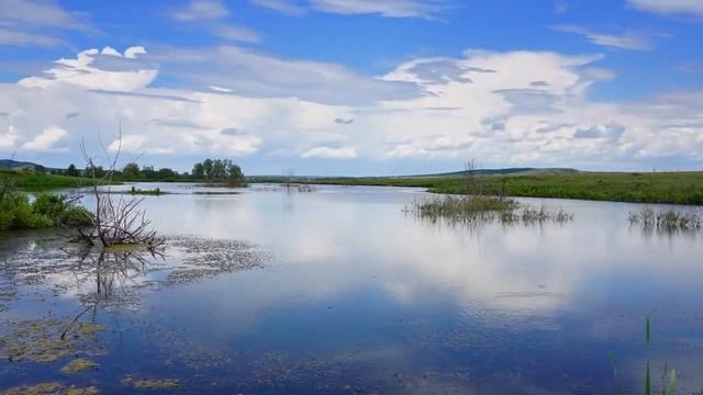 Adult Swim Bump: Zooming Time Lapse of Clouds Floating over a Mossy Lake (FANMADE) смотреть онлайн