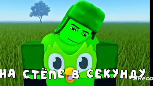 по дороге прямой