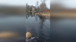 Староладожский канал -  ход плотвы, окуня и язя. Рыбалка в Ленинградской области