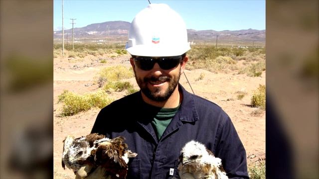 La Protección de la Fauna en Argentina смотреть онлайн