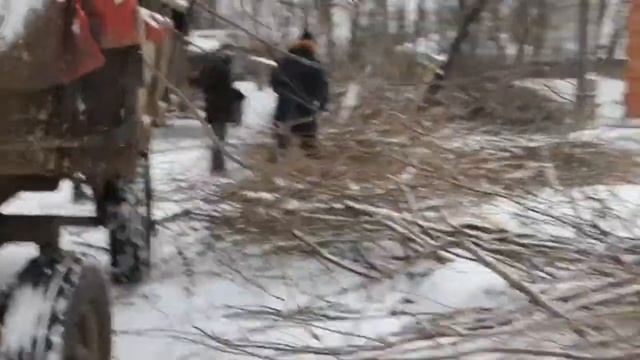 26 декабря 2020г. Эко-культурный десант в Центре свт.Луки. Зима 2020 смотреть онлайн