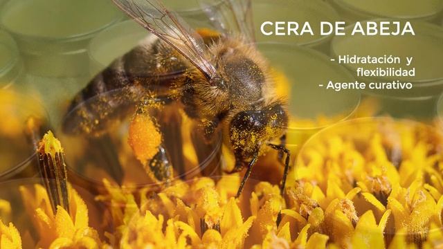 ¿Cómo hacer desodorante natural desde casa? | LAURA GRAY смотреть онлайн