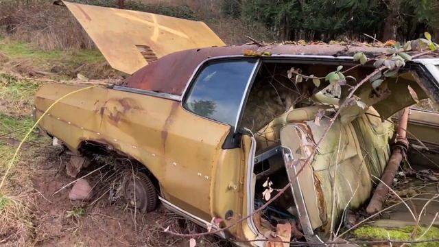 BARN FINDS| 1971 Caprice in the marsh! смотреть онлайн