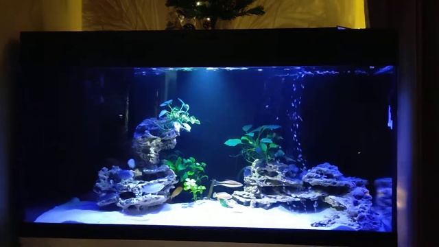 аквариум 200 литров смотреть онлайн