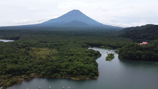 Lake Shojiko/Ta teai hama & Fuji Mountain, July 12, 2020 (Sunday) = DJI Mavic mini смотреть онлайн