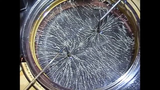 Электр талаасынын чыңалышынын сызыктары смотреть онлайн