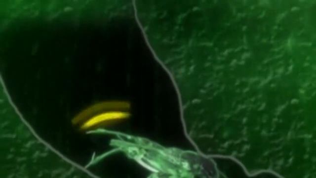 The Most Extreme S04E060