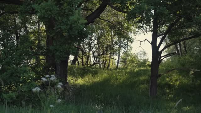 Хрипково Заокский район Тульская область 85сот смотреть онлайн