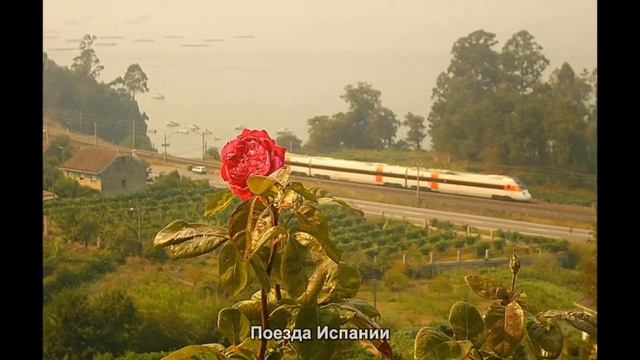 #433. Поезда Испании (лучшие фото) смотреть онлайн
