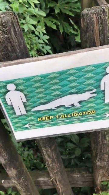 Americans will use anything but the metric system (lol) смотреть онлайн