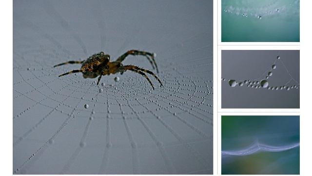 Painting with the colours of light смотреть онлайн