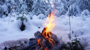 Звуки горящего костра в зимнем лесу.